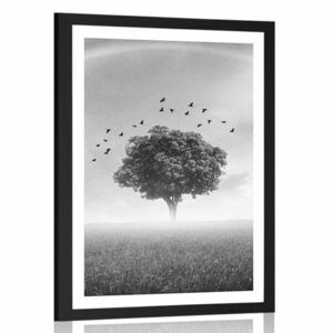 Plakat z passe-partout samotne drzewo na łące w czerni i bieli obraz