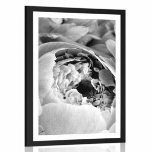 Plakat z passe-partout czarno-białe płatki kwiatów obraz
