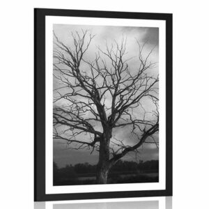Plakat z passe-partout czarno-białe drzewo na łące obraz