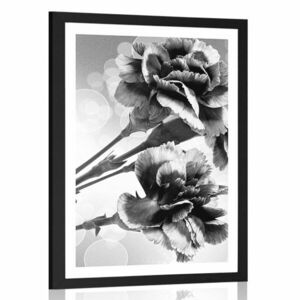 Plakat z passe-partout kwiat goździka w czarno-białym kolorze obraz