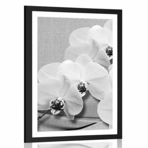 Plakat z passe-partout orchidea na płótnie w czarno-białym kolorze obraz
