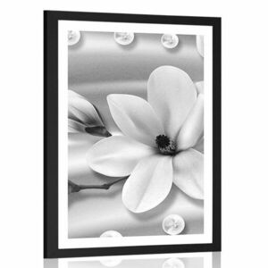 Plakat z passe-partout luksusowa magnolia z perłami w czarno-białym kolorze obraz
