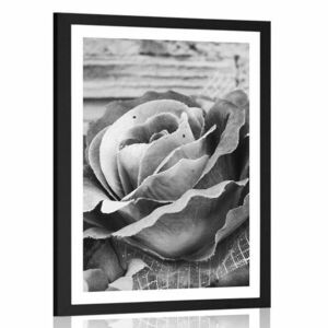 Plakat z passe-partout elegancka róża w stylu vintage w czerni i bieli obraz
