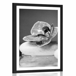 Plakat z passe-partout orchidea i Zen kamienie w czerni i bieli obraz