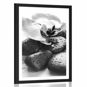 Plakat z passe-partout piękna gra kamieni i orchidei w czerni i bieli obraz