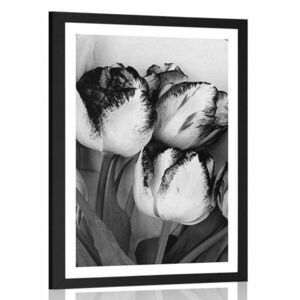 Plakat z passe-partout wiosenne tulipany w czerni i bieli obraz