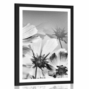 Plakat z passe-partout kwiaty ogrodowe w czerni i bieli obraz