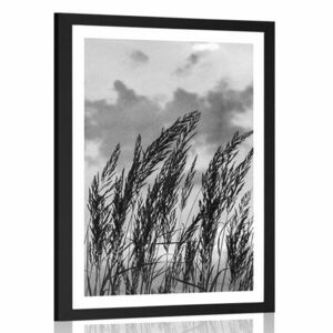 Plakat z passe-partout trawa w czarno-białym kolorze obraz