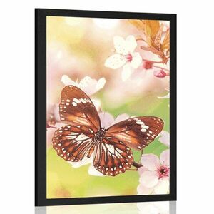 Plakat wiosenne kwiaty z egzotycznymi motylami obraz