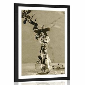 Plakat z passe-partout gałązka wiśni w wazonie w sepiowym kolorze obraz