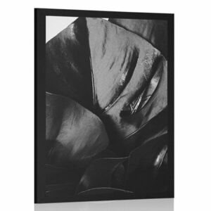 Plakat liść monstery w czerni i bieli obraz