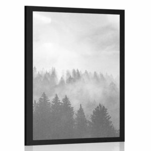 Plakat mgła nad lasem w czerni i bieli obraz
