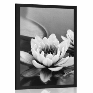 Plakat kwiat lotosu w jeziorze w czerni i bieli obraz