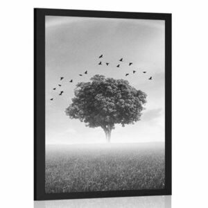 Plakat samotne drzewo na łące w czerni i bieli obraz