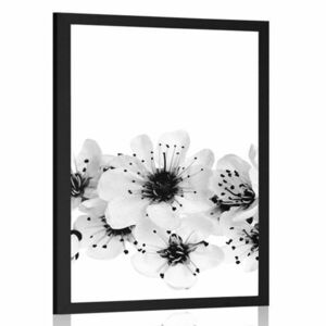 Plakat kwiaty wiśni w czerni i bieli obraz