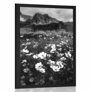 Plakat łąka kwitnących kwiatów w czarno-białym wzorze obraz