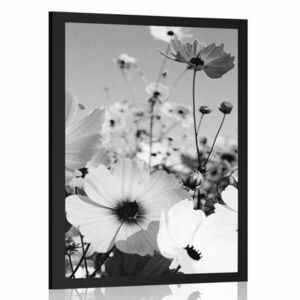 Plakat łąka wiosennych kwiatów w czerni i bieli obraz