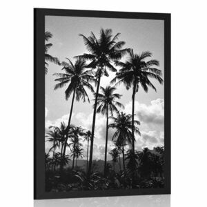 Plakat palmy kokosowe na plaży w czarno-białym kolorze obraz