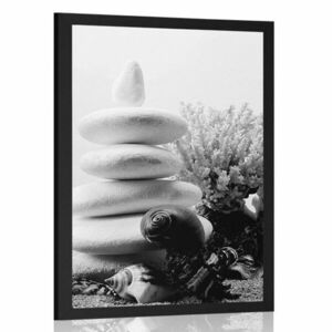 Plakat kamienie Zen z muszelkami w czerni i bieli obraz