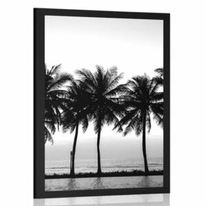 Plakat zachód słońca nad palmami w czerni i bieli obraz
