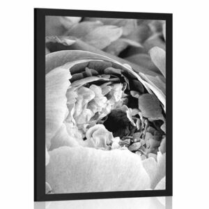 Plakat czarno-białe płatki kwiatów obraz