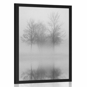 Plakat drzewa we mgle w czerni i bieli obraz