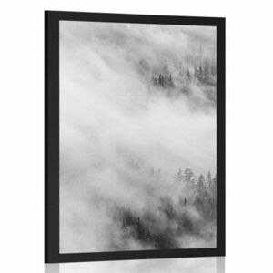 Plakat czarno-biały mglisty las obraz