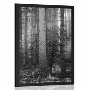 Plakat tajemnica lasu w czerni i bieli obraz