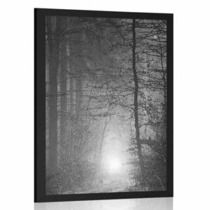 Plakat światło w lesie w czerni i bieli obraz