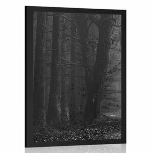 Plakat ścieżka w lesie w czerni i bieli obraz