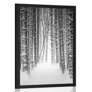 Plakat las pokryty śniegiem w czerni i bieli obraz