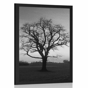 Plakat urocze drzewo w czerni i bieli obraz
