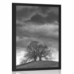 Plakat czarno-białe samotne drzewa obraz