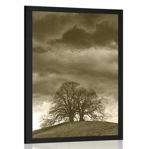 Plakat sepiowe samotne drzewa obraz