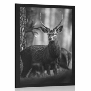 Plakat jeleń w lesie w czerni i bieli obraz