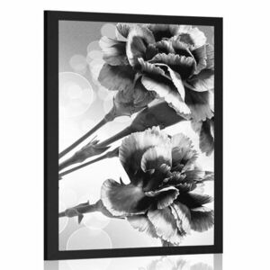 Plakat kwiat goździka w czerni i bieli obraz