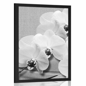 Plakat orchidea na płótnie w czerni i bieli obraz
