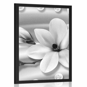 Plakat luksusowa magnolia z perłami w czerni i bieli obraz