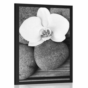 Plakat kamienie wellness i orchidea na drewnianym tle w czerni i bieli obraz