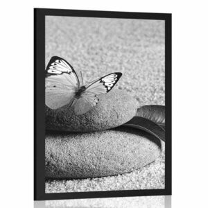 Plakat motyl na kamieniu Zen w czerni i bieli obraz