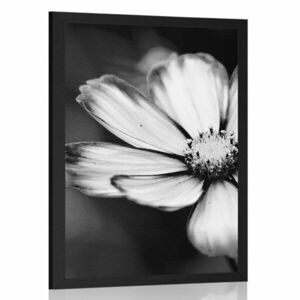 Plakat bajkowy kwiat ogrodowy w czarno-białym wzorze obraz