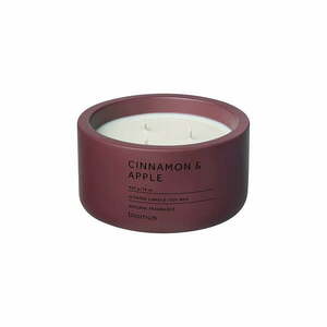 Zapachowa sojowa świeca czas palenia 25 h Fraga: Cinnamon & Apple – Blomus obraz