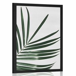 Plakat piękny liść palmowy obraz