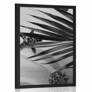 Plakat muszle pod liśćmi palmowymi w czarno-białym wzorze obraz