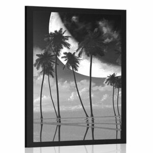 Plakat zachód słońca nad tropikalnymi palmami w czerni i bieli obraz
