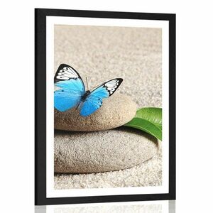 Plakat z passe-partout niebieski motyl na kamieniu Zen obraz