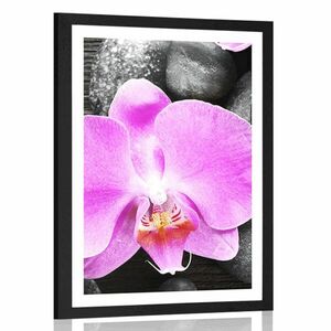Plakat z passe-partout cudowna orchidea i kamienie obraz