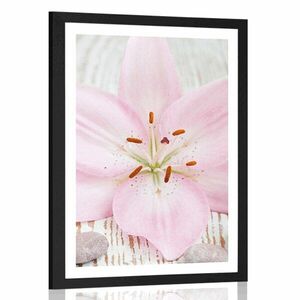 Plakat z passe-partout różowa lilia i kamienie Zen obraz