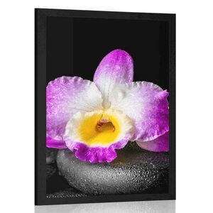 Plakat z passe-partout górska fioletowa orchidea na kamieniach Zen obraz