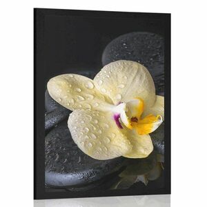 Plakat Kamienie Zen z żółtą orchideą obraz